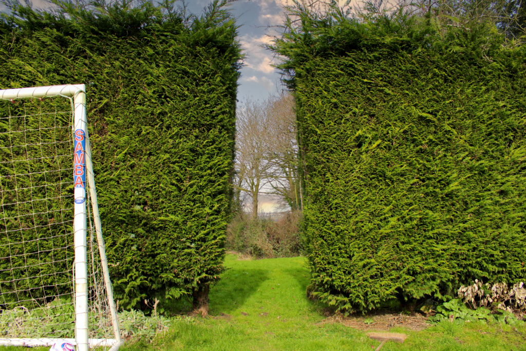 football pitch at Habberjam Farm