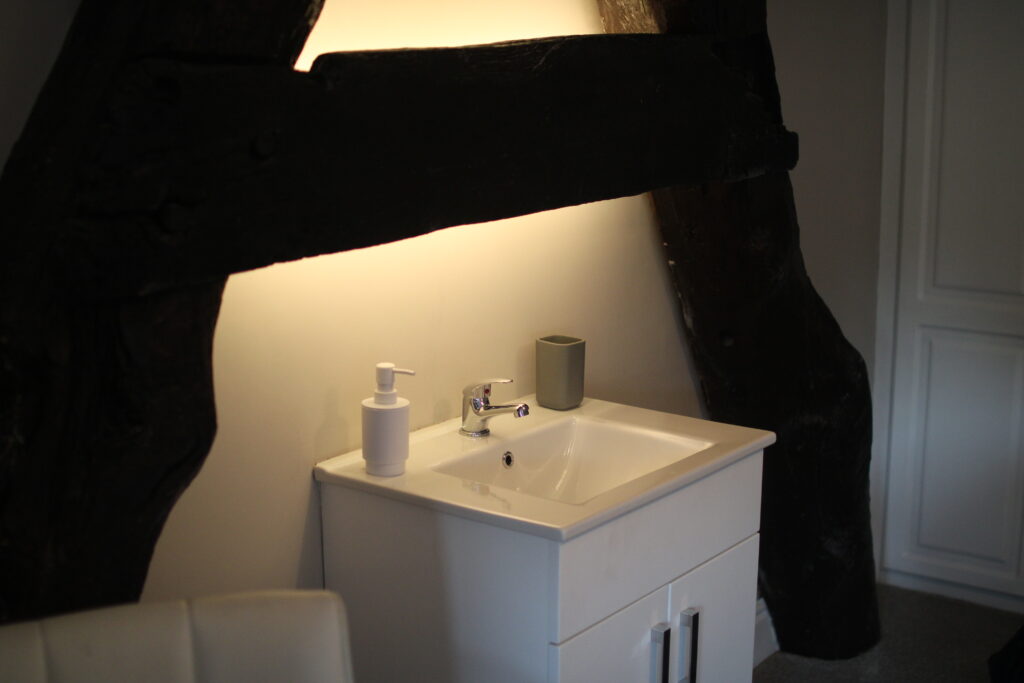 Private bedroom sink with original beams at Habberjam Farm