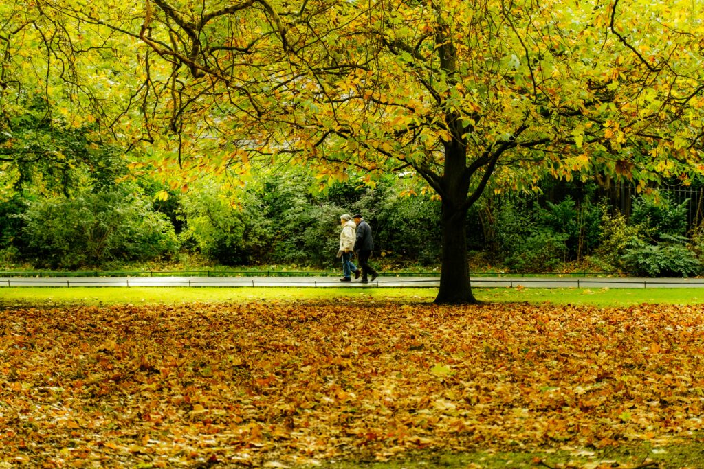 walks near Habberjam Farm